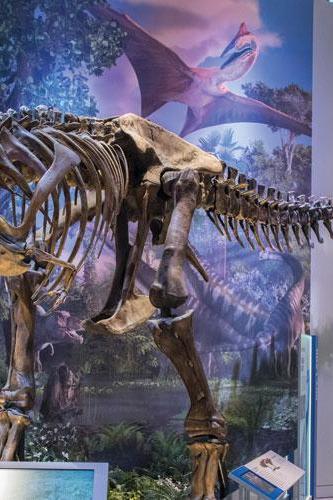 The Witte Museum